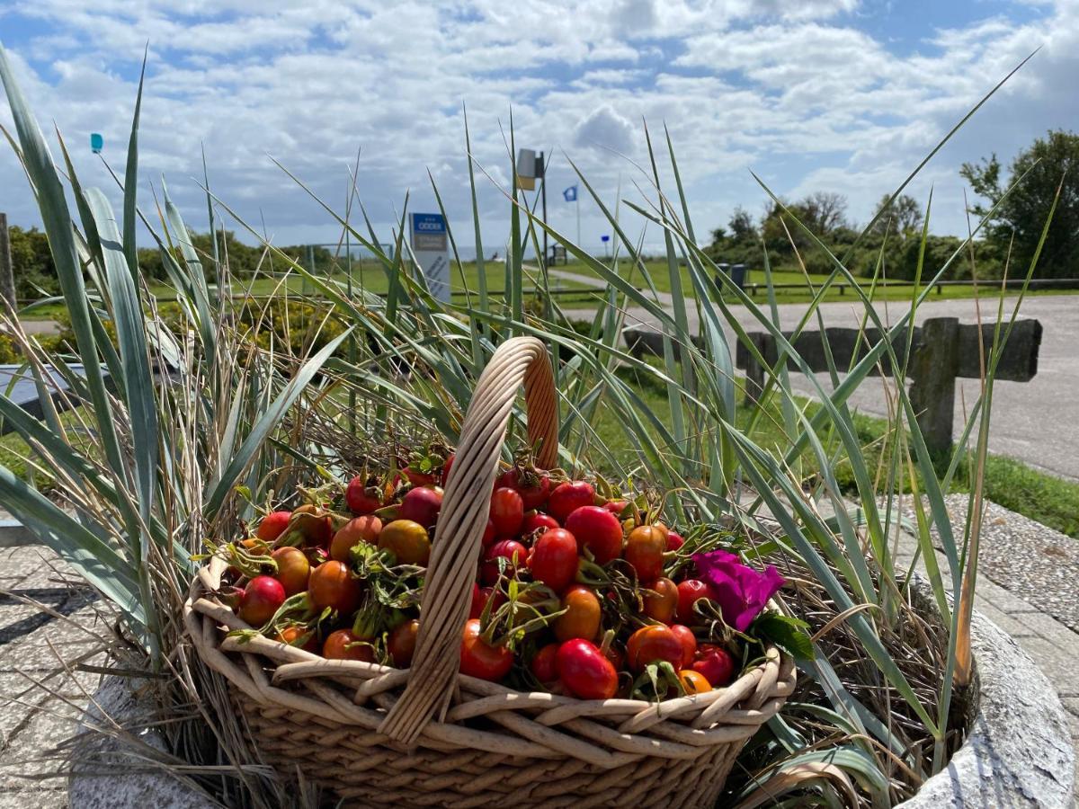 Hygge Strand Camping Odder Kültér fotó